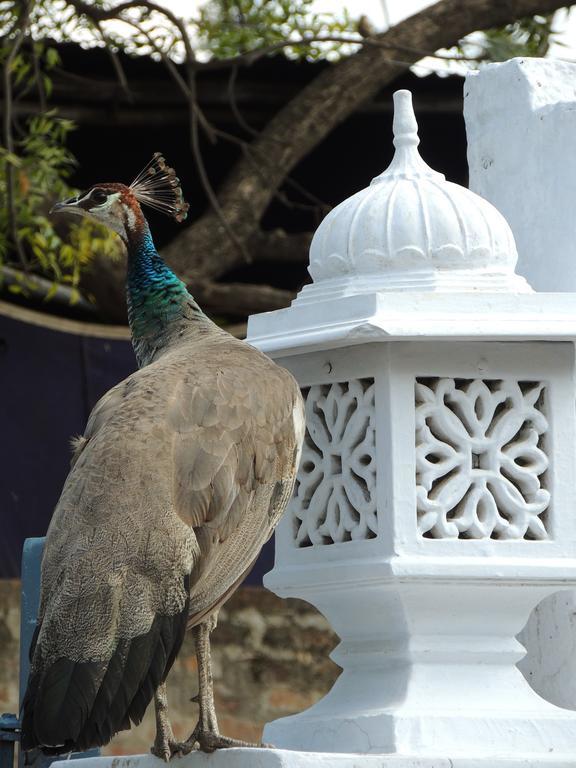 Santha Bagh Hotel Kukas Ngoại thất bức ảnh